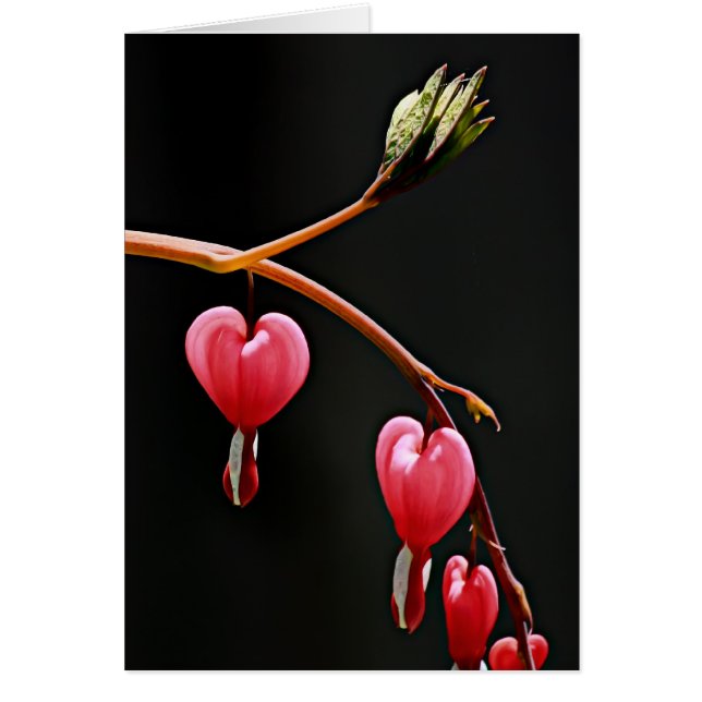 Herzen auf einer Kurve (Vorne)