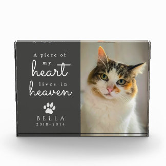 Herzen leben im Himmel Anthrazitgraues Katzenmemor Fotoblock