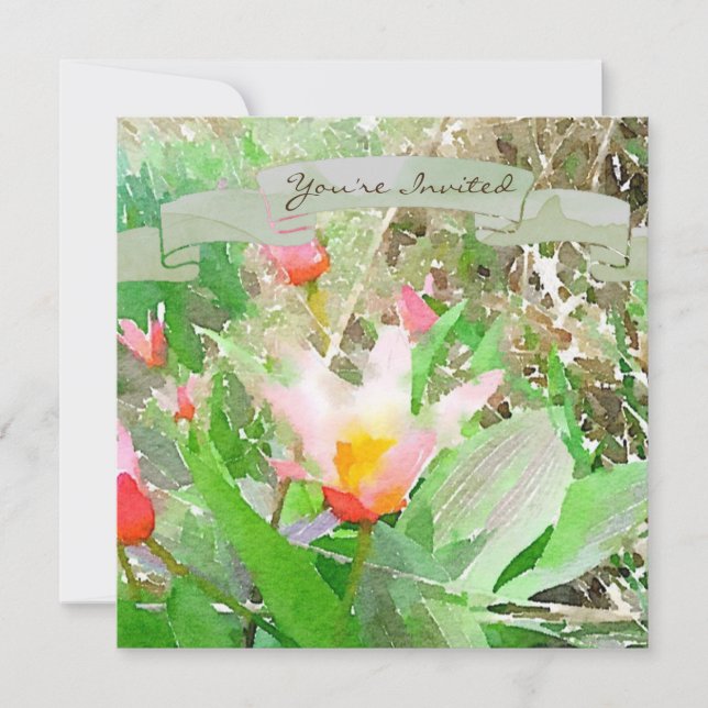 Herzenslust Kaufmanniana Tulip Einladung (Vorderseite)