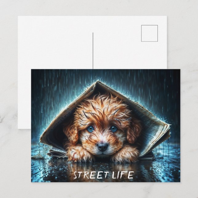 Herzerwärmender feuchter Hund bei Sturmwetter Postkarte (Vorne/Hinten)