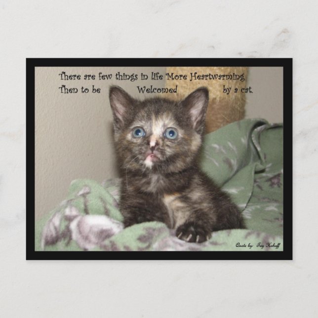 Herzerwärmung Postkarte (Vorderseite)