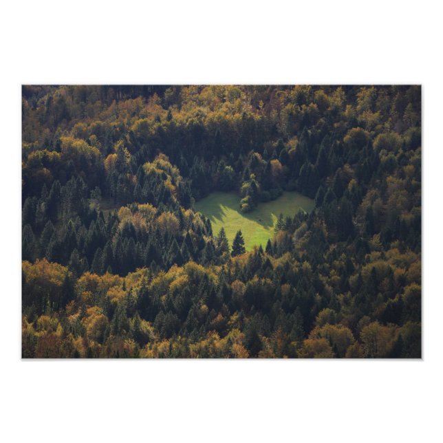 Herzform in einem Wald in Slowenien Fotodruck (Vorne)