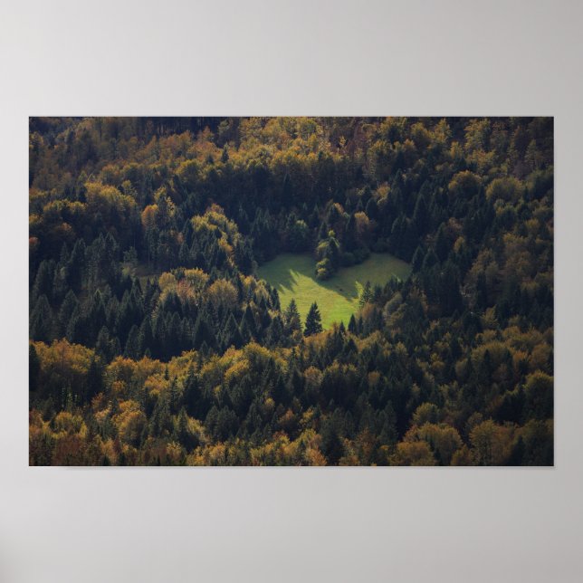 Herzform in einem Wald in Slowenien Poster (Vorne)