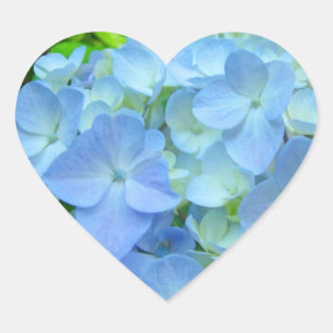 Herzförmige Aufkleber Siegel Blaue Hortensien Flor