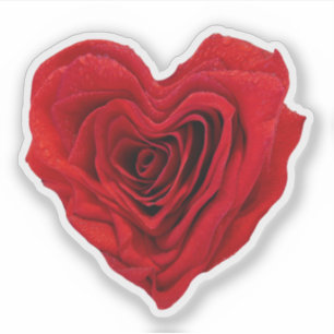 Herzförmige Rote Rose Aufkleber
