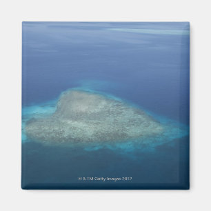 Herzförmiges Korallenriff Magnet