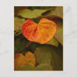 Herzgestalteter Herbstleaf Postkarte