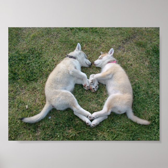 herzhaft poster (Vorne)