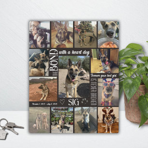 Herzhund Andenken Geschenk Fotocollage Fotoplatte