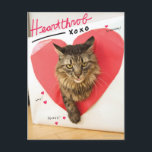 Herzklopfen-Katze Postkarte<br><div class="desc">Jetzt kann Ihre Katze in die ehrwürdigen pawprints der hellsten katzenartigen Sterne des Internets folgen. Fertigen Sie diesen Entwurf, indem Sie das Foto Ihrer Katze laden besonders an und machen Sie sofort Ihre Katze zu eine Internet-Berühmtheit. (Entwürfe inspiriert durch, wie man Ihre Katze ein Internet-Berühmtenbuch. macht)</div>