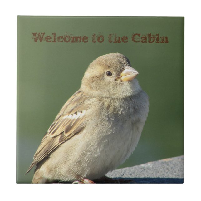 Herzlich willkommen bei Cabin Small Brown Sparrow  Fliese (Vorderseite)