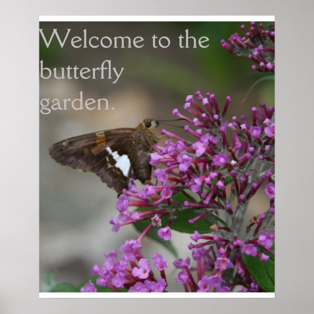 Herzlich Willkommen im Butterfly Garden Poster - S (Vorne)