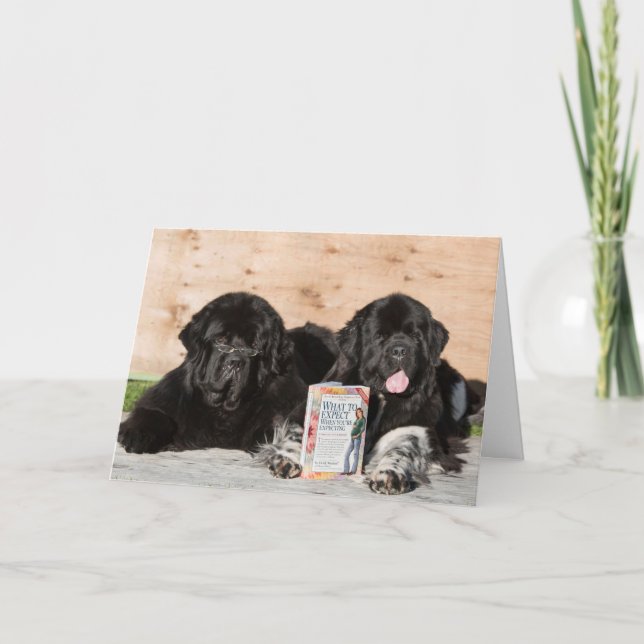 Herzlich willkommen wünscht Babykarte mit Neufundl Karte (Vorderseite)