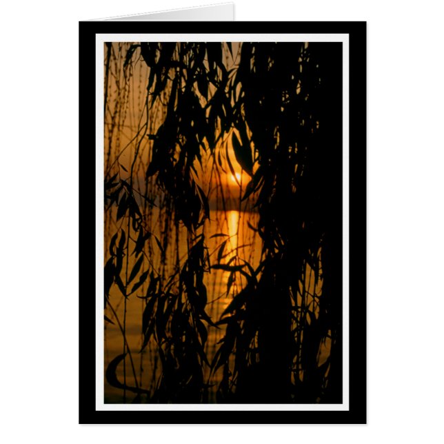 Herzliche Anteilnahme 2 Karte (Vorne)