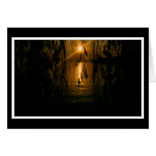 Herzliche Anteilnahme Karte