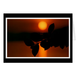 Herzliche Anteilnahme Karte