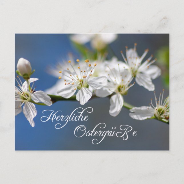 Herzliche Ostergrüße aus dem Briefkasten Postkarte (Vorderseite)