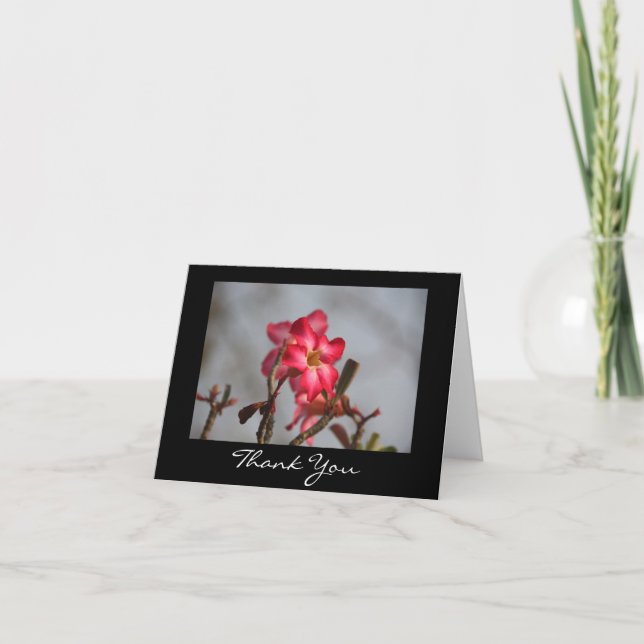 Herzlichen Dank Dankeskarte (Vorderseite)