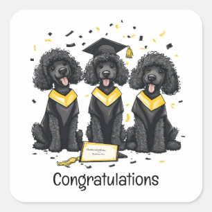 Herzlichen Glückwunsch Abschluss Standard Poodle H Quadratischer Aufkleber