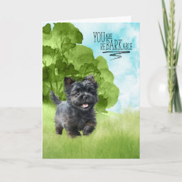 Herzlichen Glückwunsch an BARKable Affenpinscher D Karte