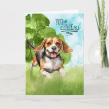 Herzlichen Glückwunsch an BARKable Beagle Dog