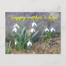 Herzlichen Glückwunsch an die Mutter! Postkarte