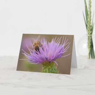 Herzlichen Glückwunsch Bee zum Purple Thistle Foto Karte