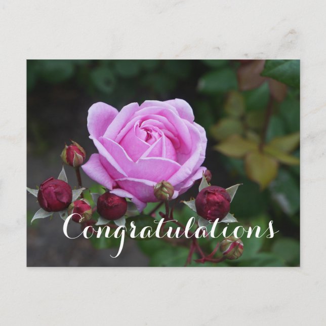 Herzlichen Glückwunsch Bischofsburg #1 Postkarte (Vorderseite)