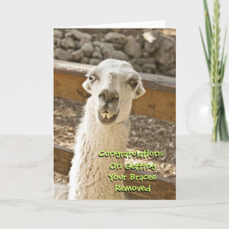 Herzlichen Glückwunsch Bracks Off Llama Card Karte