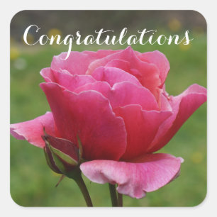 Herzlichen Glückwunsch Duet Rose #1-2 Stickers