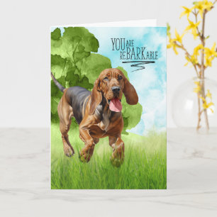 Herzlichen Glückwunsch reBARKable Bloodhound Hund Karte
