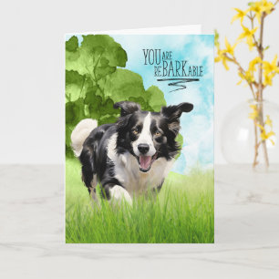 Herzlichen Glückwunsch reBARKable Border Collie Hu Karte