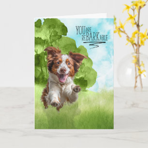 Herzlichen Glückwunsch reBARKable Brittany Spaniel Karte