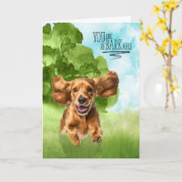 Herzlichen Glückwunsch reBARKable Cocker Spaniel H