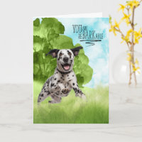 Herzlichen Glückwunsch reBARKable Dalmatiner Hund