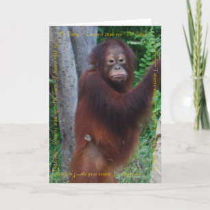 Herzlichen Glückwunsch und die besten Wünsche Karte