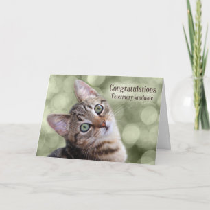 Herzlichen Glückwunsch Veterinary Graduate Tabby K Karte