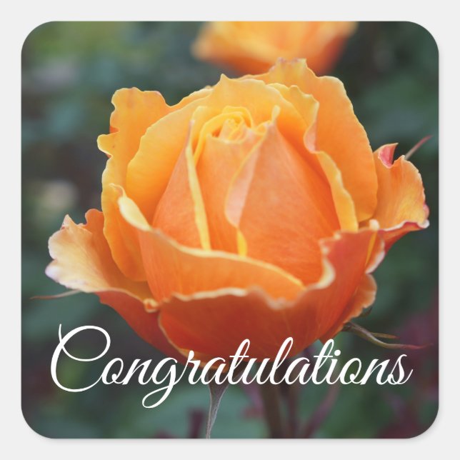 Herzlichen Glückwunsch zu der Rose #1 von Face Quadratischer Aufkleber (Vorderseite)