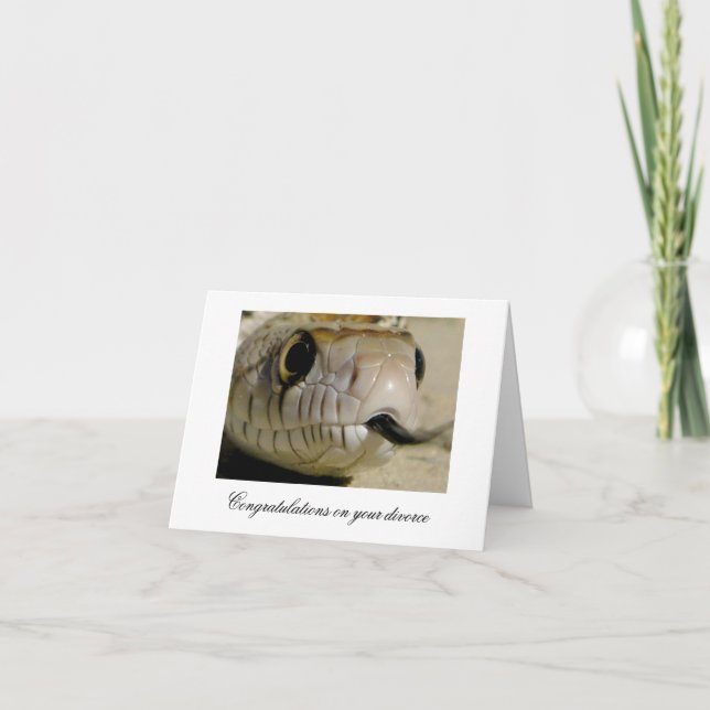 Herzlichen Glückwunsch zu Ihrer Scheidung ... Karte (Vorderseite)