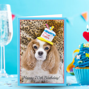 Herzlichen Glückwunsch zum 70. Geburtstag Cavalier Karte