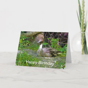 Herzlichen Glückwunsch zum Geburtstag, Ente, Grußk Karte