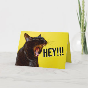 Herzlichen Glückwunsch zum Geburtstag für alle, di Feiertagskarte