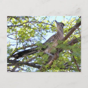 Herzlichen Glückwunsch zum Geburtstag für einen be Postkarte