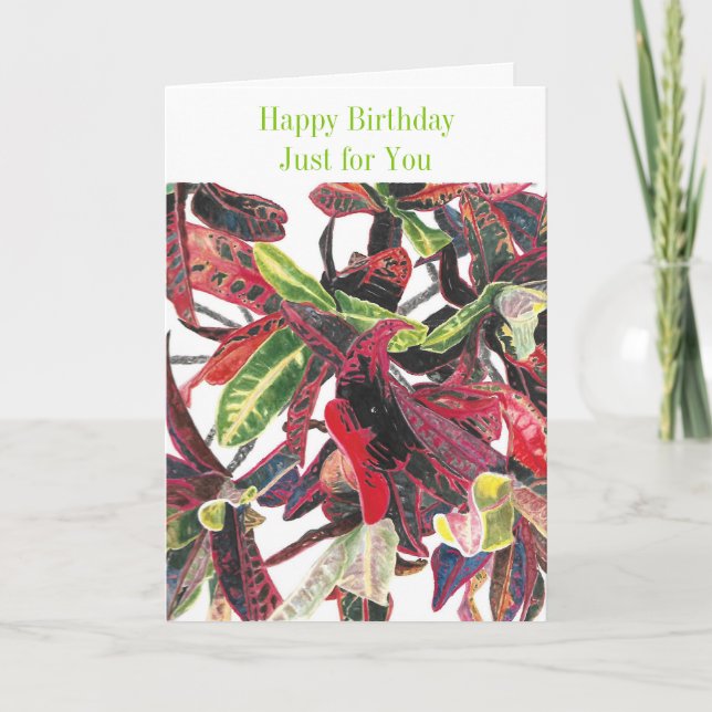 Herzlichen Glückwunsch zum Geburtstag für Sie Trop Karte (Vorderseite)