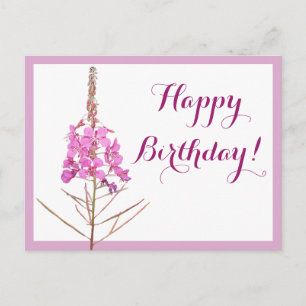 Herzlichen Glückwunsch zum Geburtstag hübsch rosa Postkarte