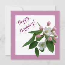 Herzlichen Glückwunsch zum Geburtstag hübsche Rosa