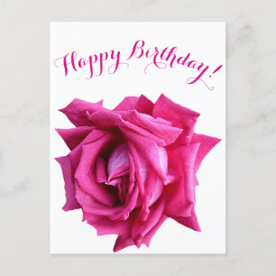 Herzlichen Glückwunsch zum Geburtstag hübsche Rosa Postkarte