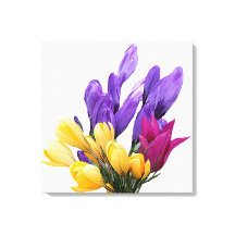 Herzlichen Glückwunsch zum Geburtstag hübscher blu