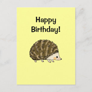 Herzlichen Glückwunsch zum Geburtstag! (Igel) Postkarte