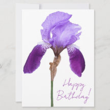 Herzlichen Glückwunsch zum Geburtstag lila Iris Bl